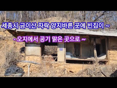 세종시 금이산 공기 맑은 시골에 빈집이! #세종시 #전의면 #빈집 #시골집 #시골빈집 #空き家