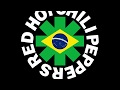 Red Hot Chili Peppers live Rio de Janeiro, Brazil 01/22/1993 ((FULL SHOW))