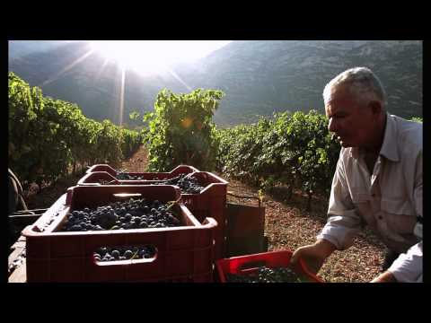 DOMAINE SKOURAS