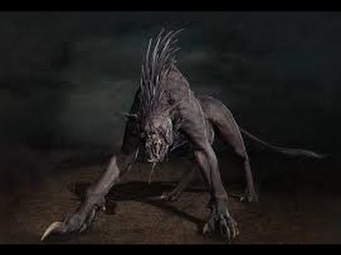 Video: Monstru Evaziv - Chupacabra - Vedere Alternativă