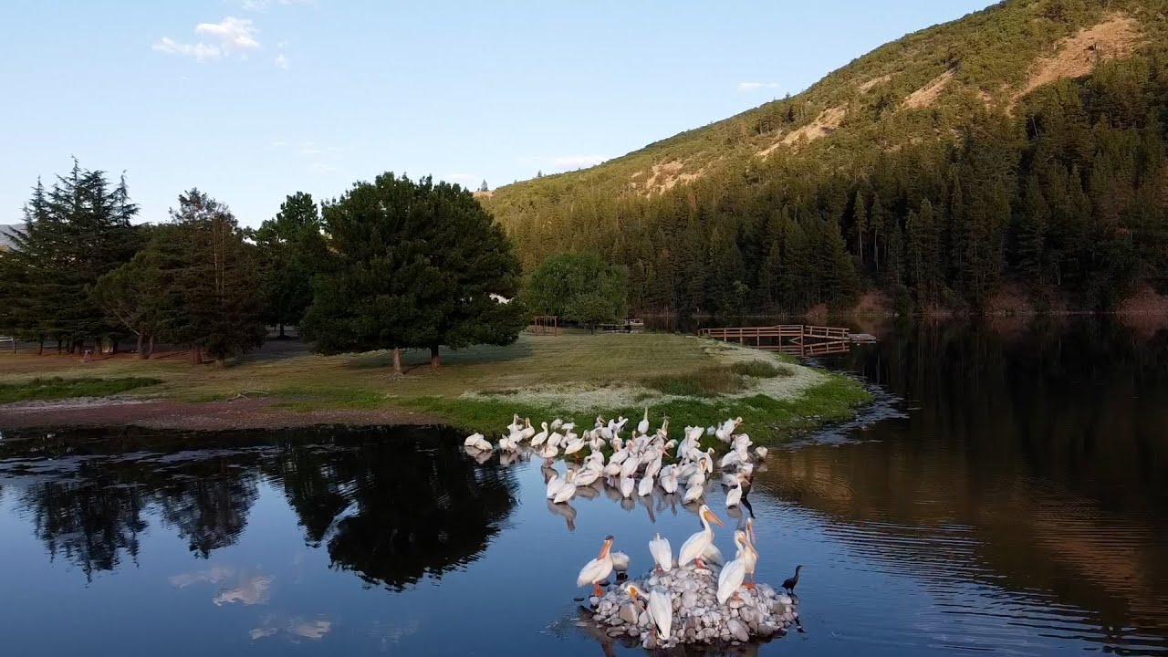 Copco Lake July 2021 YouTube