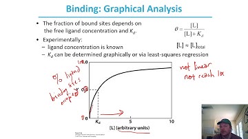 Protein–Ligand Interaction EXPLAINED [Biochemistry]