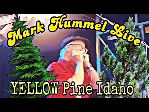 Mark Hummel Live From Yellow Pine Harmonica Festival.