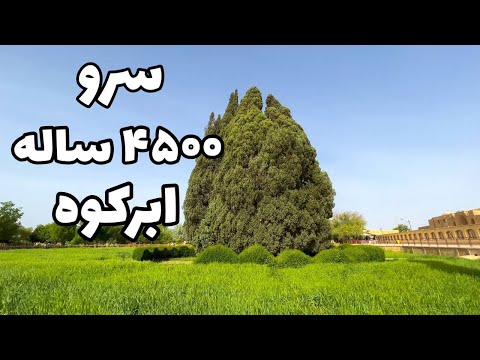 تصویری: هزینه کالج Morehouse چقدر است؟