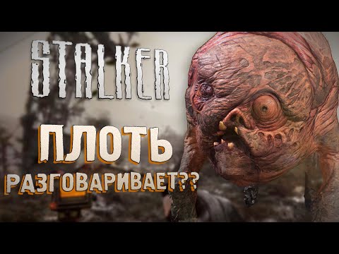 [S.T.A.L.K.E.R.] ОБЗОР НА ПЛОТЬ