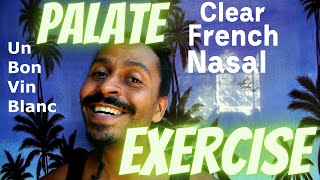 Nasal, “French” and Clear on One Note – Anatomical Vocal Training (31) screenshot 3