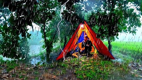 Camping in heavy rain with my dog | Fishing and cooking