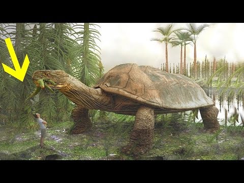 Vidéo: Les Dinosaures étaient Les Animaux De Compagnie Des Géants De L'antiquité. - Vue Alternative
