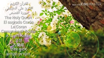 القارئ علي الحذيفي سورة القصص HD