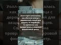 История Уолл-стрит за 20 секунд #трейдинг #инвестиции