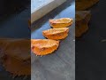 Cheese Shell BIRRIA Tacos Aka Keto Tacos Birrialossocios Birria Keto Cheese Ketodiet Taco 