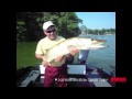 Rapala Jointed Shallow Shad Rap video