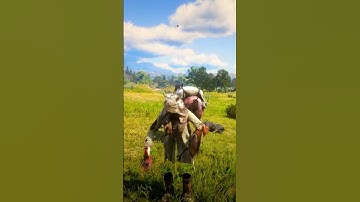 Nấu những món ăn dân dã núi rừng p402