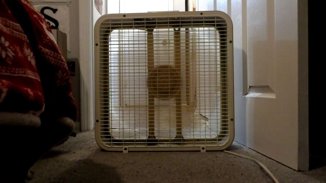 Lakewood Box Fan Model P223 (Part 2 of the new Camera Test) YouTube