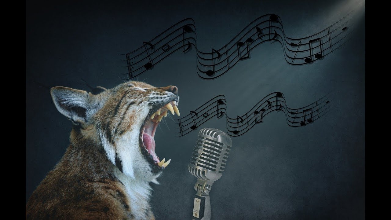 KimMe KOVERS | THE EMOTIONS (SUITE)