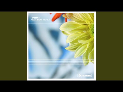 DJ Spettro — Love Fix (Original Mix)