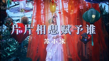 《片片相思赋予谁》演唱：苏小沫