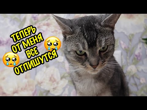 КОТЁНОК СЛАДУН ПЛАЧЕТ! САМОЕ НЕУДАЧНОЕ ВИДЕО СЛАДУНА
