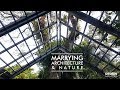 Marrying Architecture &amp; Nature | Harmony Centre