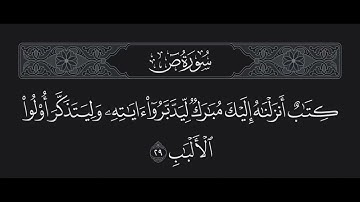 سورة ص الآية 29