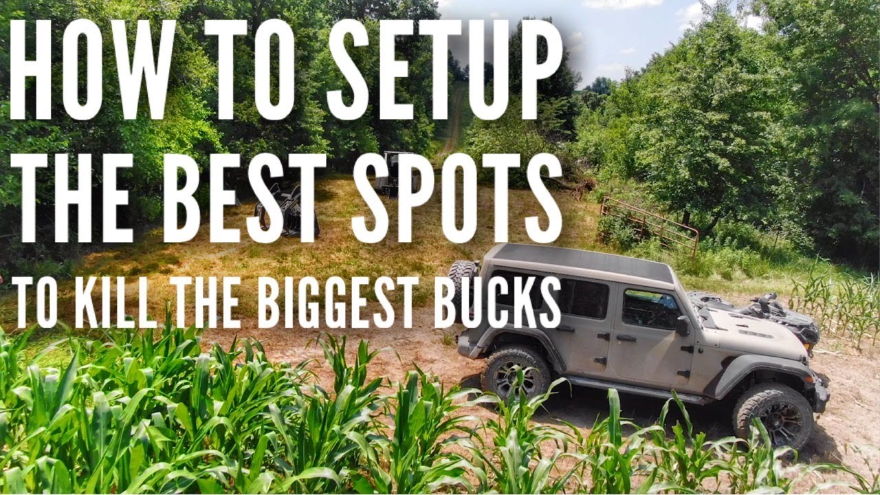 This is a great spot to kill a big buck!| New Farm Strategies |