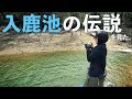 【バス釣り】春の入鹿池を攻略せよ!!【神回】