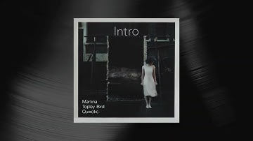 Martina Topley-Bird - Intro (Official Visualizer)