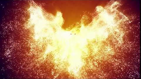 Bird Particle Glow | Motion Graphics - Envato elements