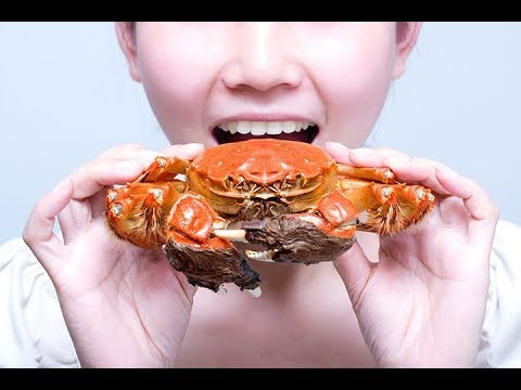 Bolehkah Ibu Hamil Makan Kepiting Selama Masa Kehamilan ...