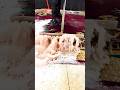 Foam asmr cleaning #satisfying #scraper #asmr