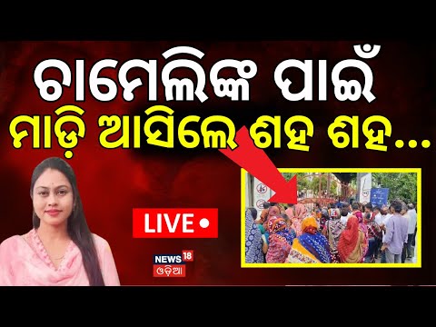 LIVE: ଧାରଣାରେ ଚାମେଲି ଓଝା | Kendrapara Sarpanch Chameli Ojha Stages Protest Outside SP Office