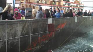Wave research makes splash with students