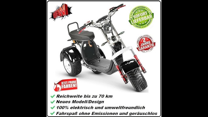 ⚡Neu Elektroroller Elektro Chopper/Cruiser 2 Sitzer 