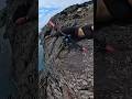 This could have ended badly!! #foryou #viral #shorts #pov ￼
