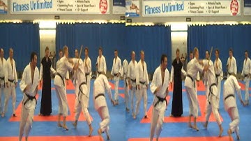 Sensei Matthew Shepherd - V