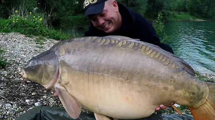 Carp Fishing 2016,  1080 HD