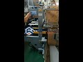 Automatic Faster Case Erector |Techflow Pack Middle Speed Carton Erector Machine