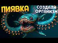 СОЗДАЛИ ОРГАНИЗМ ПИЯВКУ ( Sipho )