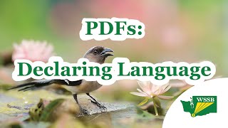 PDFs: Declaring Language(s)