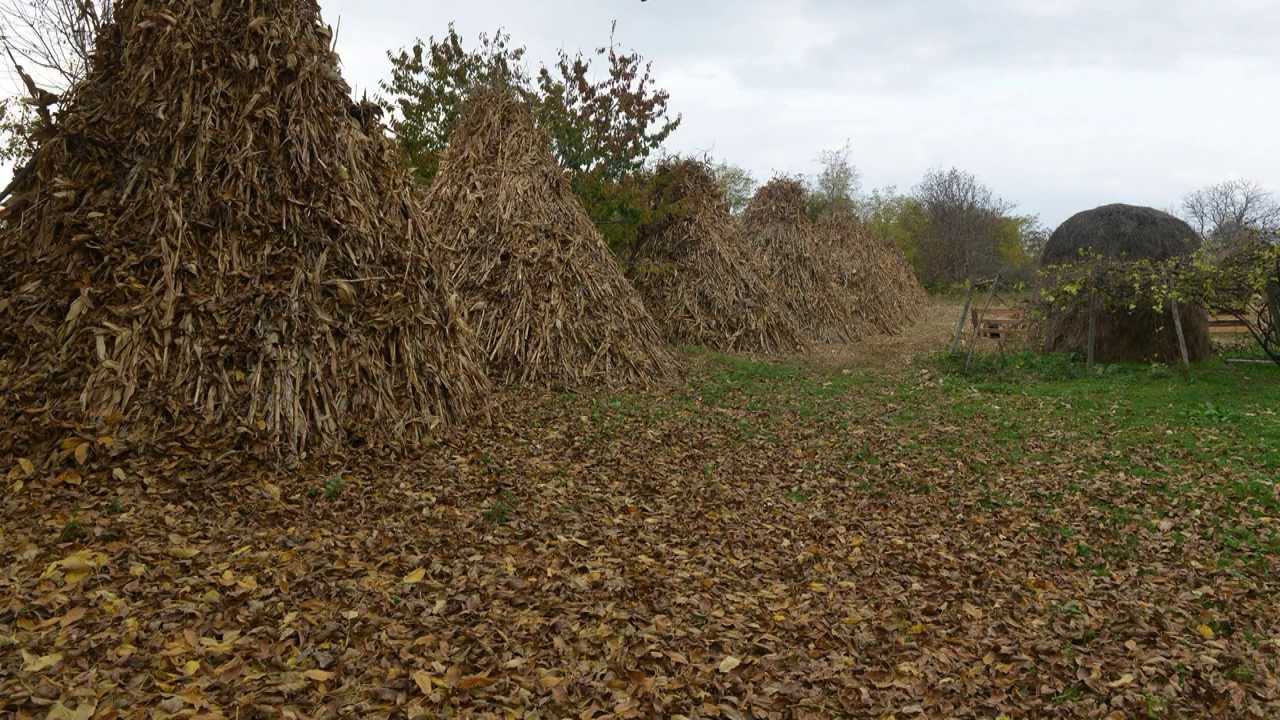 Pentru cei plecati prin lume, satul Trifesti- Iasi