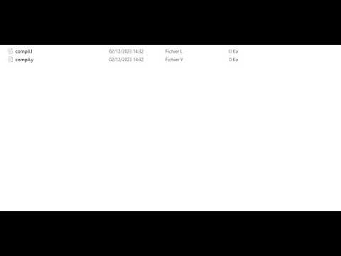Introduction à la série de vidéos sur Flex et Bison.