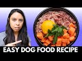 How to make dog food at home  vet approved  balanced recipes