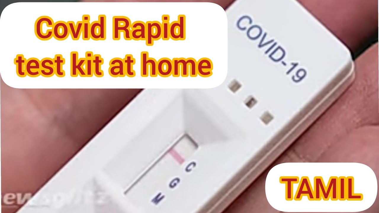 HOW TO USE COVID RAPID TEST KIT - TAMIL -COVISELF-CORONAVIRUS RAPID ...