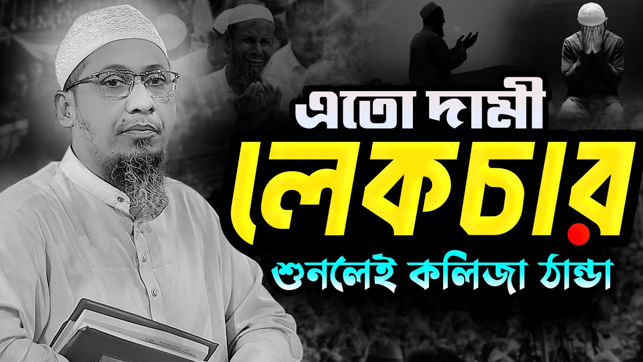 শুনলেই কলিজা ঠান্ডা || আনিসুর রহমান আশরাফী নতুন ওয়াজ || Anisur Rahman Ashrafi