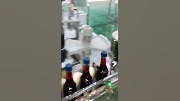 máy chiết rót . dán nhãn nước mắm. máy móc thiết bị LIDUTA