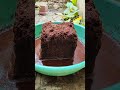 #shorts | 🌈💫 Coco peat Experiment