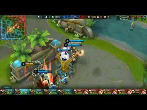 Mobile legends wtf