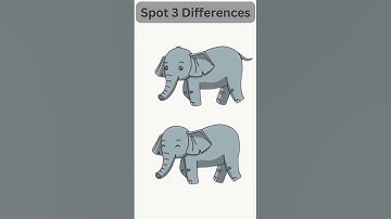 Spot 3 Differences#166