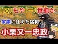 【ゆっくり解説】『又』もや『一』番槍か　家康に仕えた猛将・小栗忠政