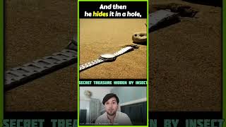 Secret Treasure Hidden By Insect 😱 #InsectAdventure #AnimatedStory #BugHeist #ShortFilmScene